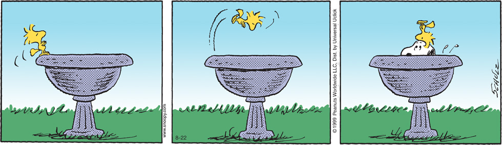 Peanuts 2012 agosto 22