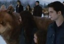 Il trailer di Breaking Dawn 2, l'ultimo Twilight (sottotitolato)