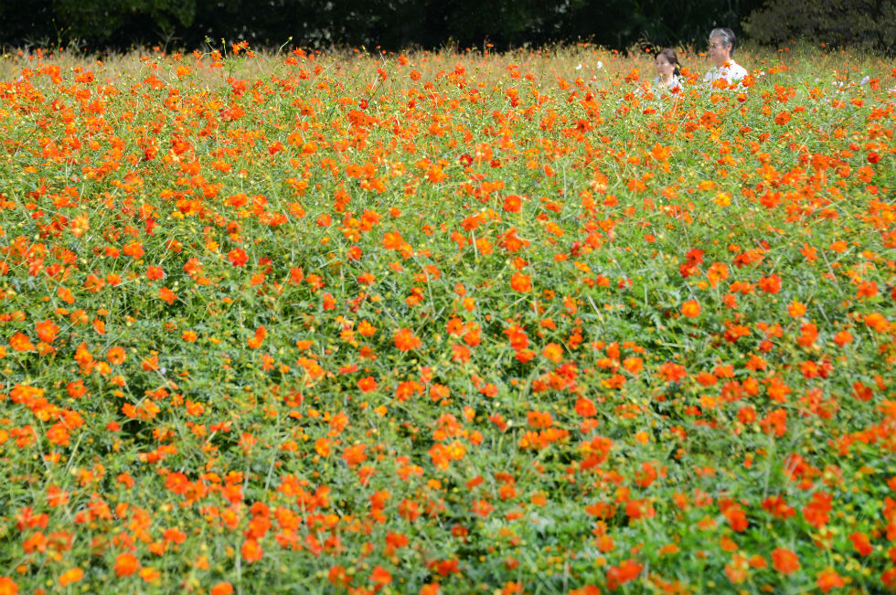 Domenica 30 settembre