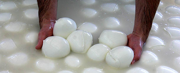 FILE &#8211; In this March 21, 2008 file photo, Buffalo mozzarella cheese is prepared at a dairy in Caserta, near Naples. Italian police confiscated some 70,000 balls of mozzarella in Turin after consumers noticed the milky-white cheese quickly developed a bluish tint when the package was opened. Agriculture Minister Giancarlo Calan ordered ministry laboratories to investigate what he called a disturbing development. State TV said Saturday, June 19, 2010, that a customer called police after noticing the mozzarella, made in Germany for an Italian company, turned blue after contact with air, and that several merchants in Turin received similar complaints about the cheese. (AP Photo/Franco Castano&#8217;, File)
