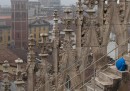 Lumache sul Duomo