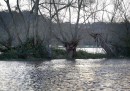 Alluvioni Regno Unito