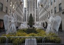 Albero di Natale Rockefeller