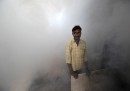 Dengue in India