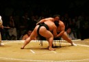 Nessuno vuole più fare il lottatore di sumo