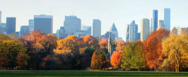 Due stagioni a Central Park