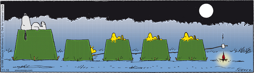Peanuts 2012 novembre 16