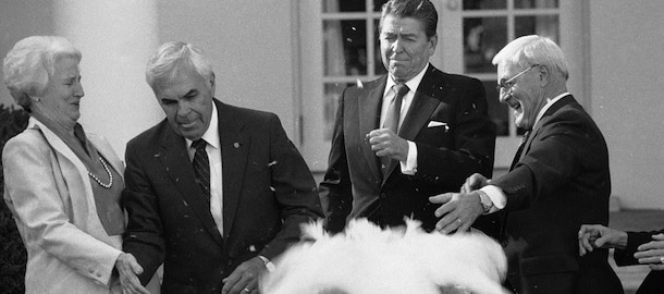 National Turkey Federation president John Hendricks attempts to hang on to the live turkey that he brought to the White House in Washington on Friday, Nov. 17, 1984, which is annually presented to the first family on Thanksgiving. The bird seemed not in awe by the presence of President Ronald Reagan who was there to accept it. (AP Photo/Scott Stewart)
