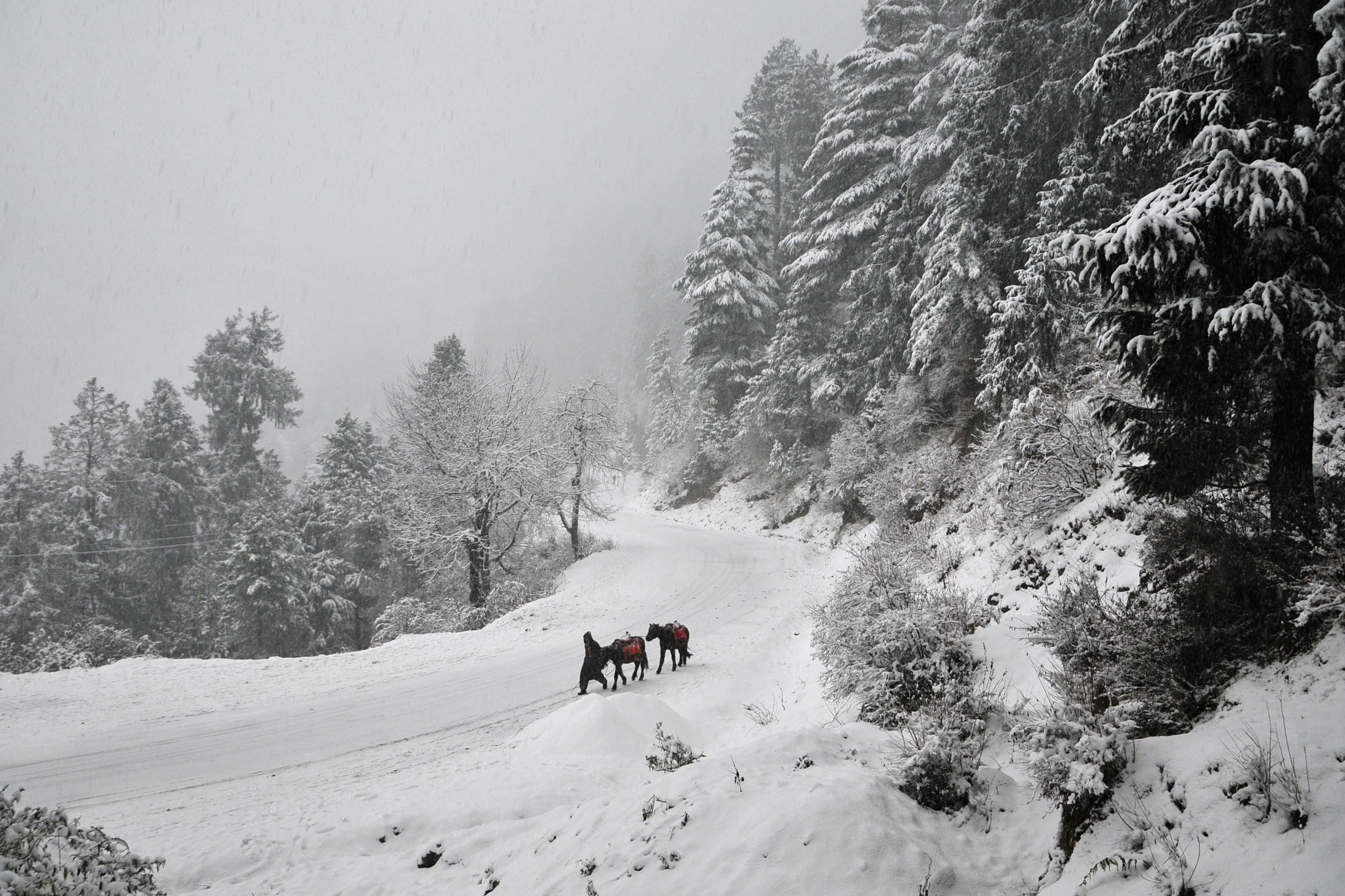 зима пейзаж. снежный склон горы. зима природа идет снег оттепель. снежный склон. Snow ma1den.