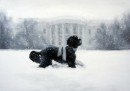 Il biglietto di auguri della famiglia Obama