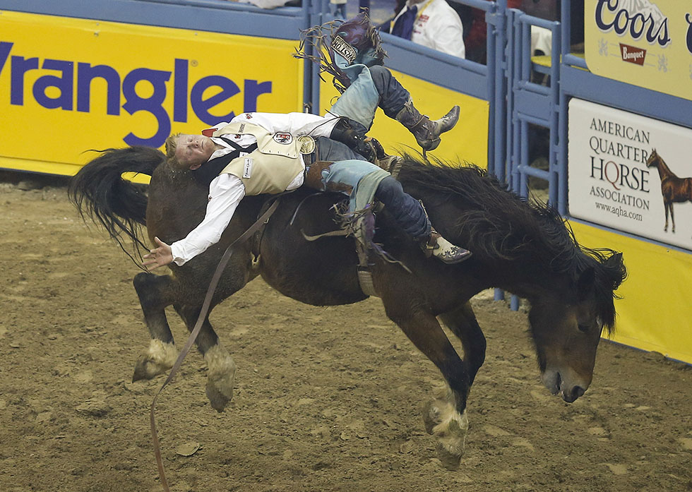 Le foto del National Finals Rodeo Il Post
