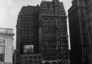 New York Tribune Building