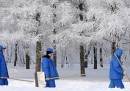 15 foto di neve a Mosca 