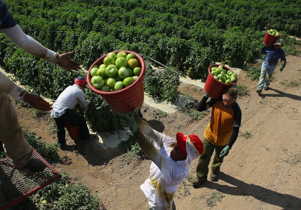 Pomodori