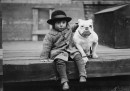 Bulldog in mostra, 1926