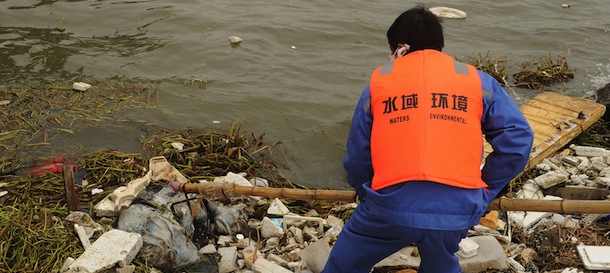 A sanitation worker collects a dead pig from Shanghai's main waterway on March 11, 2013. Nearly 3,000 dead pigs have been found floating in Shanghai's main waterway, the Chinese city's government said on March 11 as residents expressed fears over possible contamination of drinking water. AFP PHOTO/Peter PARKS (Photo credit should read PETER PARKS/AFP/Getty Images)