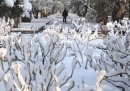 Neve a Pechino