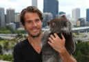 Tommy Haas
