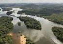 Brasile e Perù contro Amazon