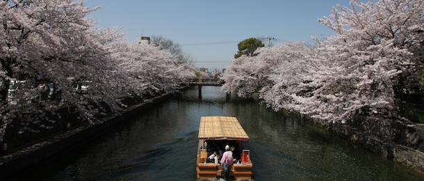 KYOTO, JAPAN - APRIL 05: Tourists travel on a ferry near blooming cherry blossoms on the Okazaki canal on April 5, 2013 in Kyoto, Japan. Cherry blossoms bloom from the end of March to the beginning of April in Kyoto. (Photo by Buddhika Weerasinghe/Getty Images)