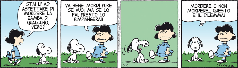 Peanuts 2013 maggio 30