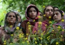 Pulwama, Jammu e Kashmir, India