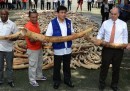 Le zanne di elefante distrutte nelle Filippine