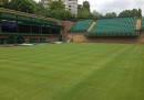 Erba Wimbledon