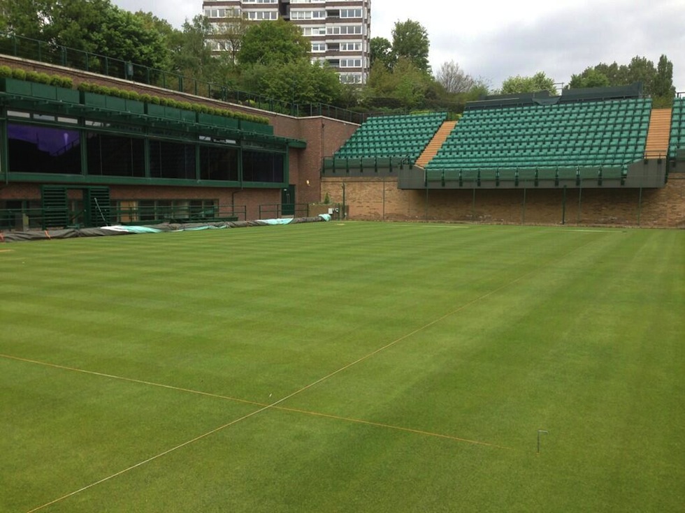 Erba Wimbledon