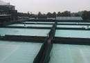 Erba Wimbledon