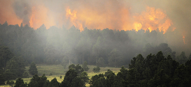 COLORADO SPRINGS, CO - JUNE 12: Fire from the Black Forest Fire burns behind a stand of trees June 12, 2013 near Colorado Springs, Colorado. The fire has reportedly burned 80 to 100 homes and has charred at least 8,000 acres. (Photo by Chris Schneider/Getty Images)