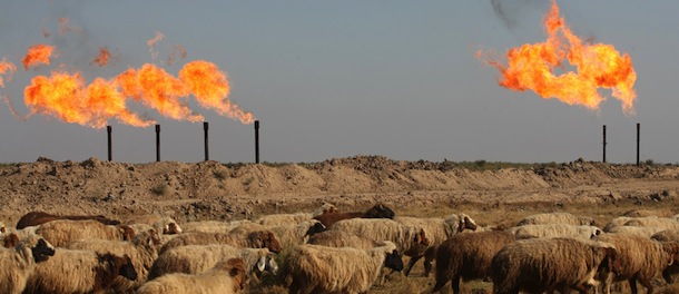 Sheep graze outside the Halfaya oil field near the southern city of Amara on December 12, 2009. Iraq struck deals with several foreign energy giants to nearly triple its oil output in an auction that ended, as the country bids to become one of the world's biggest energy producers. A consortium led by China's CNPC was awarded the contract for Iraq's Halfaya oil field, which has proven reserves of 4.1 billion barrels of oil. AFP PHOTO/ESSAM AL-SUDANI (Photo credit should read ESSAM AL-SUDANI/AFP/Getty Images)
