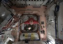 Foto missione Volare - Stazione Spaziale Internazionale - Luca Parmitano