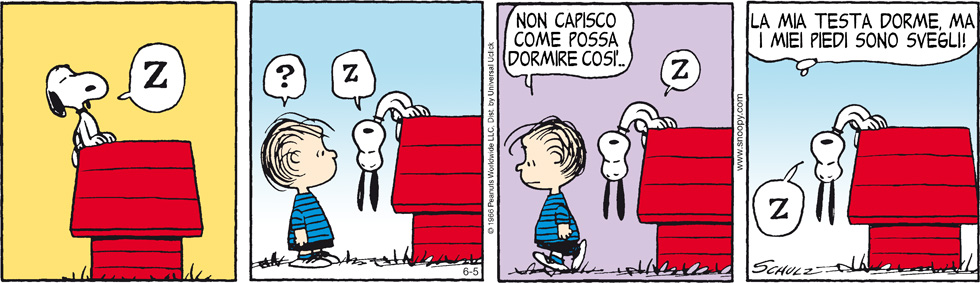 Peanuts 2013 giugno 5