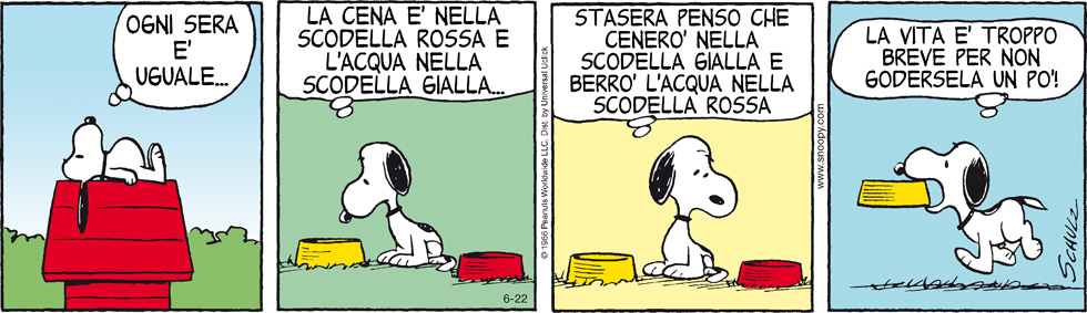Peanuts 2013 giugno 22