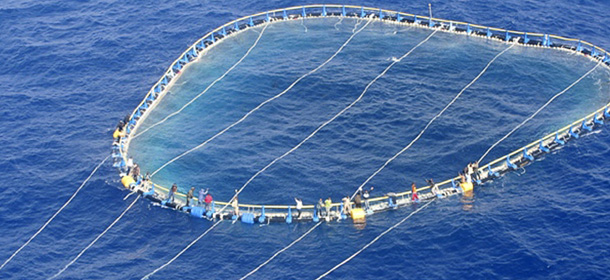 **RESENDING FOR IMPROVED QUALITY** A picture taken Saturday, May 26, 2007, and made available by the Italian Navy Tuesday, May 29, 2007, showing a group of 27 immigrants hanging on a tuna fishing net after their boat sank off the coast of Malta. The immigrants, coming from Africa, were rescued by an Italian Navy ship Saturday, May 26, 2007, and carried to the Sicilian island of Lampedusa, Italian Navy said. (AP Photo/Italian Navy, HO)