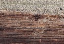 Le foto del funambolo che attraversa il Grand Canyon