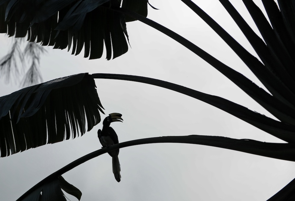 Mercoledì 10 luglio