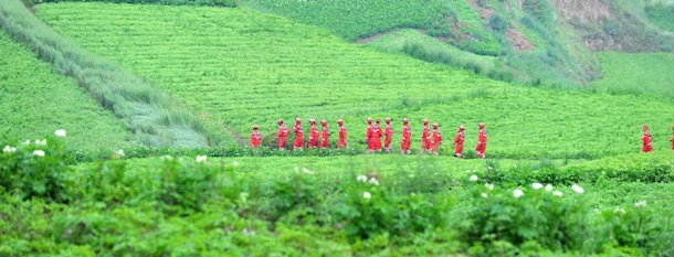 Mercoledì 24 luglio