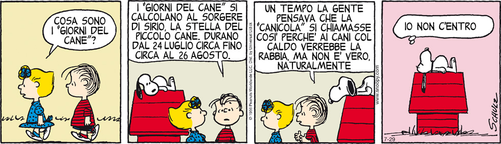 Peanuts 2013 luglio 29