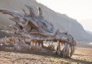 L'enorme teschio di drago sulla spiaggia nel Dorset