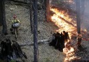 Rim Fire - Incendio Yosemite
