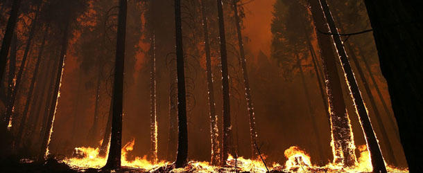 Buck Meadows, California (Justin Sullivan/Getty Images)