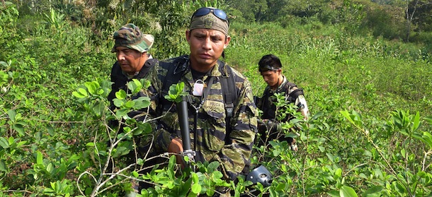 TO GO WITH AFP STORY - Peruvian drug enforcement policemen walk through a coca plantation in the Apurimac valley rain forest, in southeast Peru, on August 21, 2010. According to local authorities, the Sendero Luminoso (Shining Path) guerrilla have started to "expropiate" lands --mainly in the area known as Vrae (valleys of the Ene and Apurimac rivers, from the departments of Ayacucho, Cusco, Junin and Huancavelica)-- to grow coca and then produce cocaine. An increasing deforestation and polluted rivers are the main consequence of drug-trafficking in the area. AFP PHOTO/Carlos Mandujano (Photo credit should read CARLOS MANDUJANO/AFP/Getty Images)