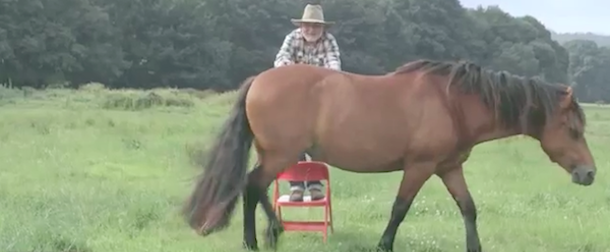 Inizia qualcosa di nuovo