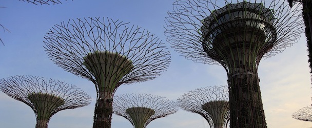 People visit a Supertree cluster, Thursday June 28, 2012 in Singapore. These Supertrees range from 25-50 meters in height and serve as vertical gardens at the Gardens By The Bay just next to Singapore's busy financial district in Singapore. This is part of the city-state's efforts to bring and nurture greenery within the city and capture the essence of Singapore as a tropical city. It opens its doors to the public for the first time Friday. (AP Photo/Wong Maye-E)