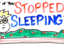 Che cosa succede se smetti di dormire?