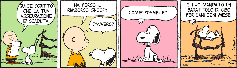 Peanuts 2013 settembre 20