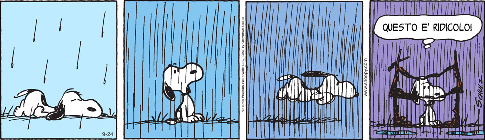 Peanuts 2013 settembre 24