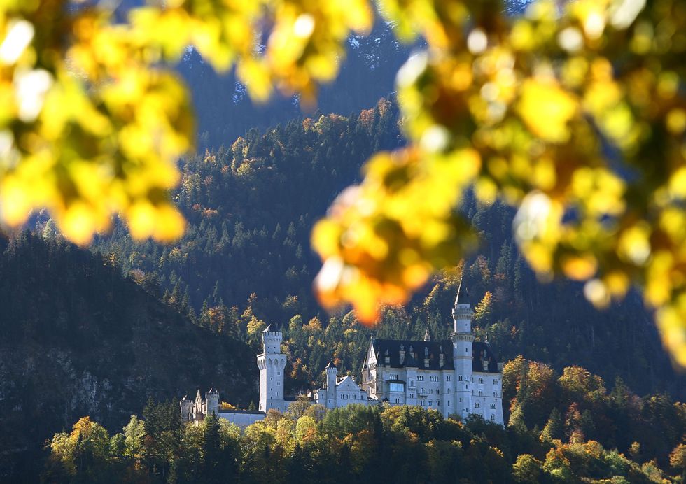 Cartoline da oggi Il Post